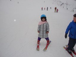 Rok szkolny 2016 /2017